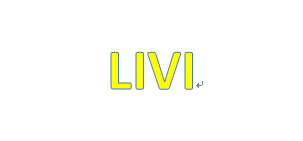 GZ LIVI Technology Co., Ltd.