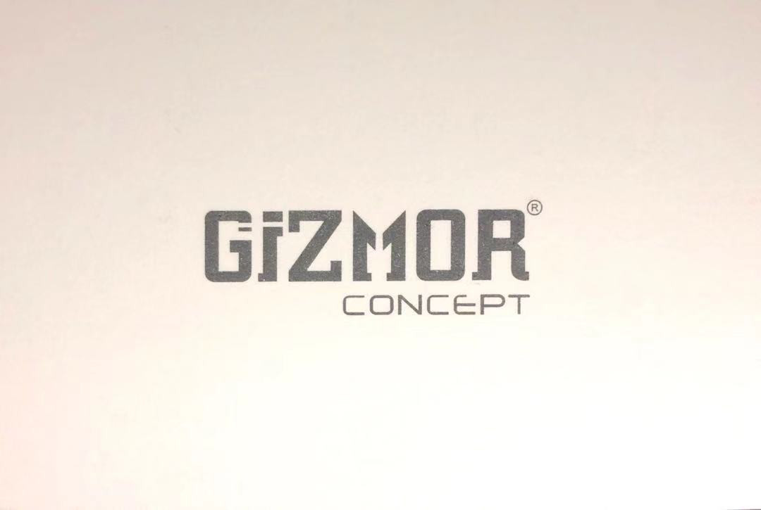 Guangzhou GIZMOR Technology Co.,Ltd.